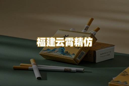 福建云霄精仿